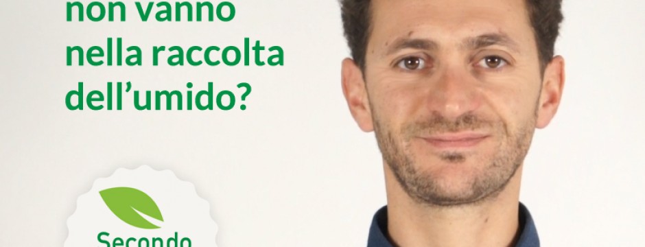 Sacchetti bio, le cose da sapere per la raccolta dell'umido domestico